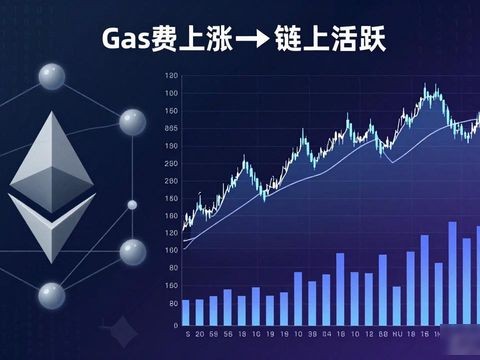 im钱包实时数据怎么用？交易决策更靠谱