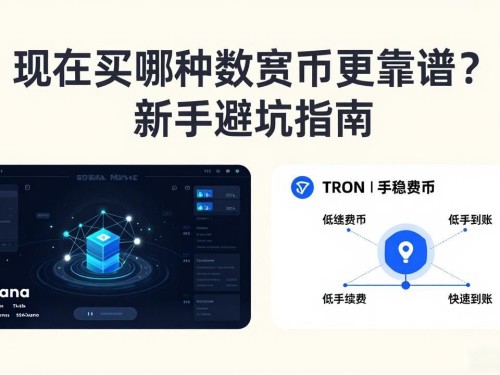 现在买哪种数字货币更靠谱？新手避坑指南