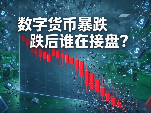 数字货币暴跌后谁在接盘？散户、机构还是国家队，答案出乎意料