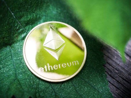 imToken国际版如何帮你用加密货币钱包参与绿色投资，推动环保？